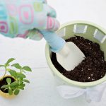 Scegliere il compost giusto per le piante