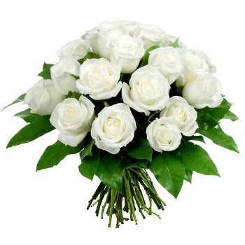 Bouquet di rose bianche - Fiori online, vendita e consegna fiori a  domicilio, rose e bouquet