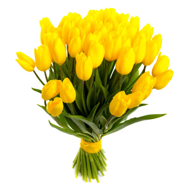 Bouquet di tulipani gialli
