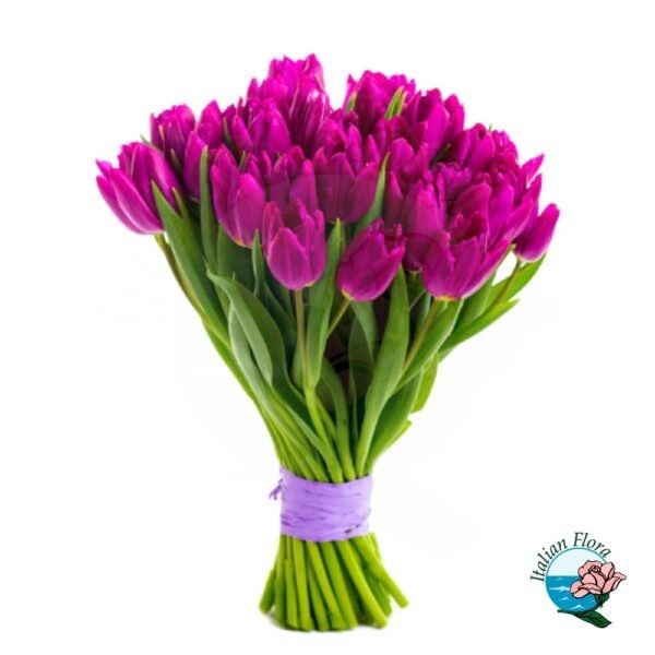 bouquet di tulipani viola